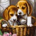 DIY Digital Canvas Oil Painting Kit Paint by Numbers Home Decor -Puppy Dogs   263292864447